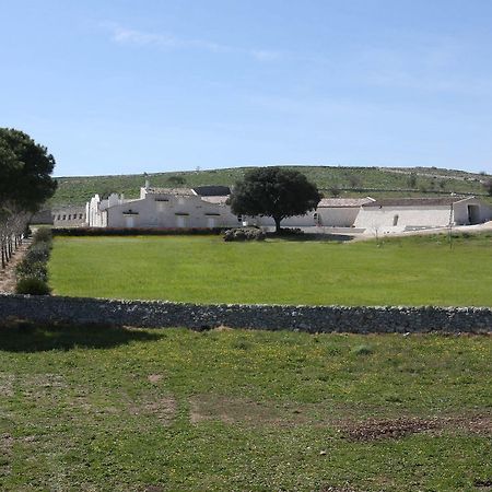 Masseria Torre Di Nebbia Кастель-дель-Монте Экстерьер фото