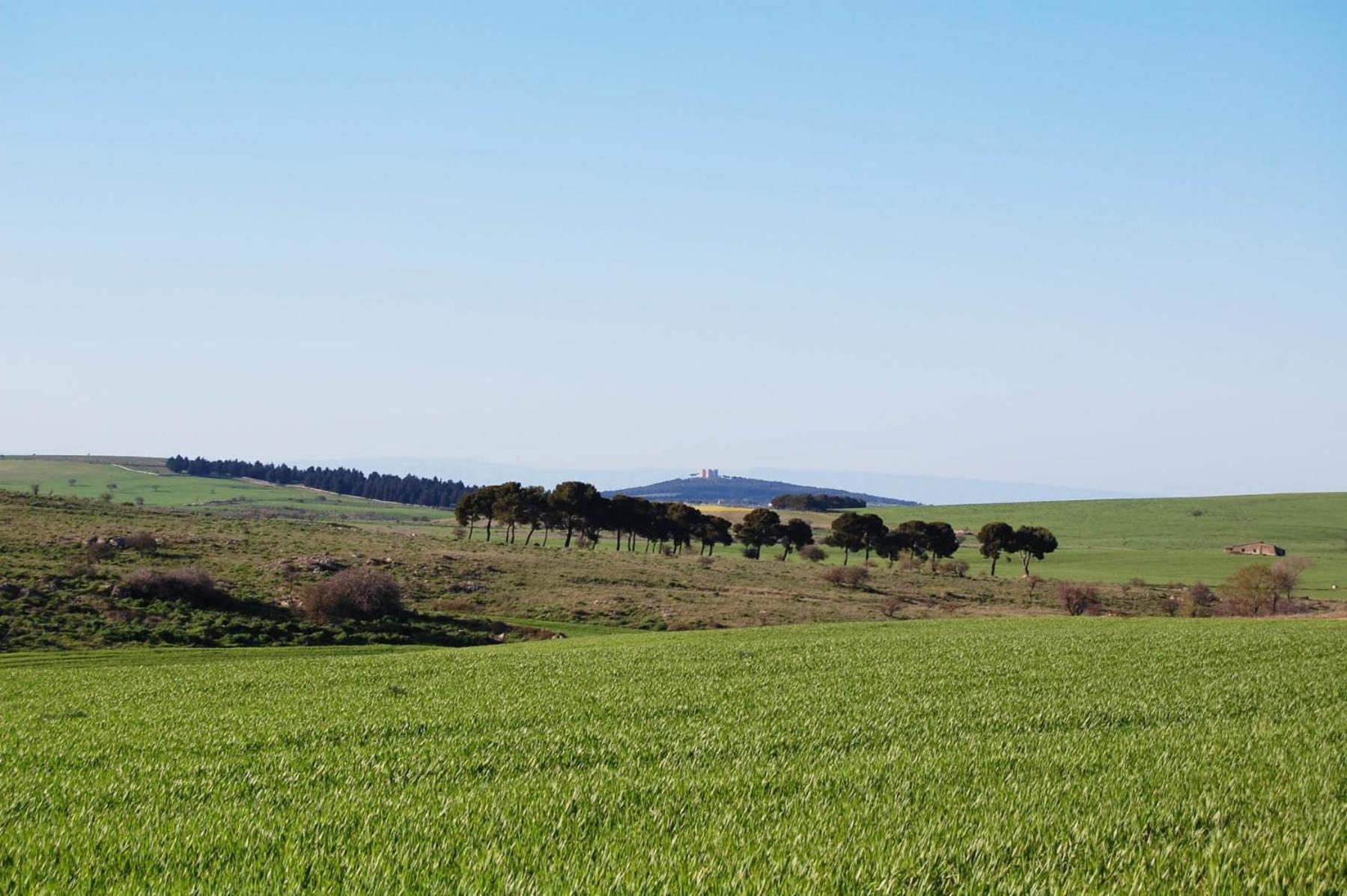 Masseria Torre Di Nebbia Кастель-дель-Монте Экстерьер фото