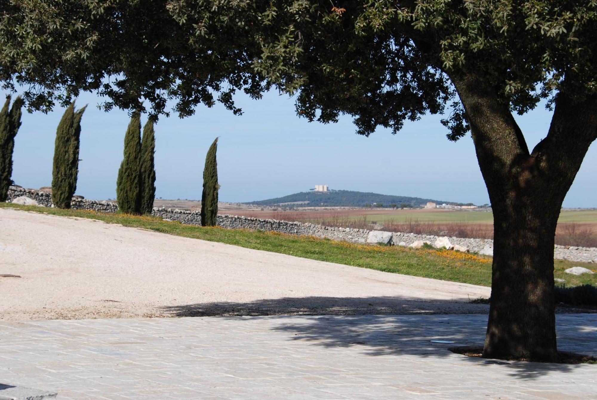 Masseria Torre Di Nebbia Кастель-дель-Монте Экстерьер фото